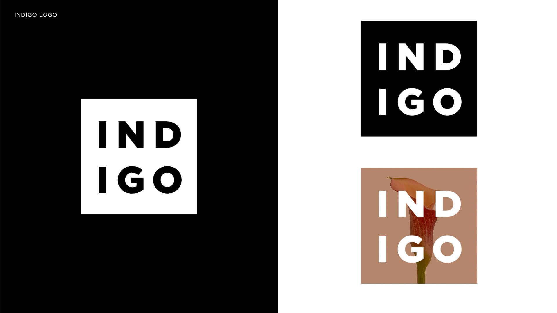 Indigo_logo.001