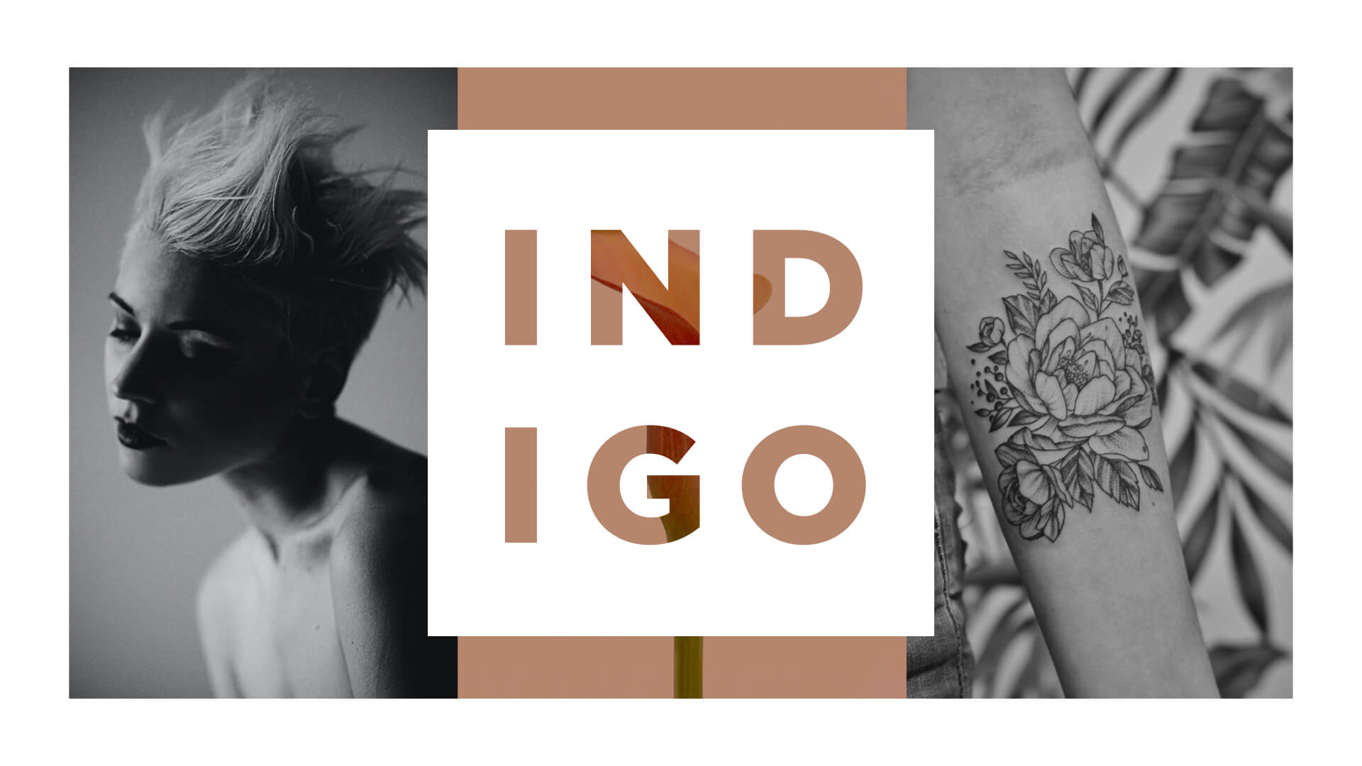Indigo_logo.003